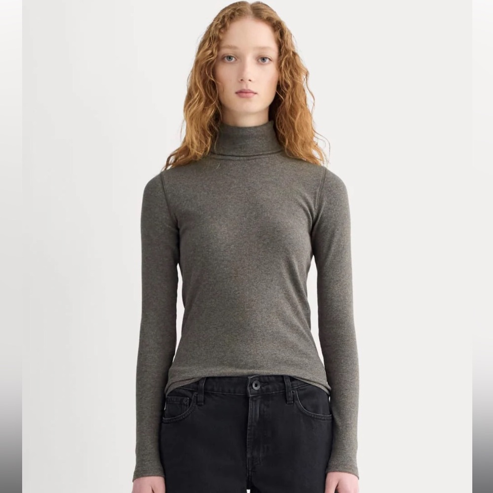 Everlane Pima Micro-rib Turtleneck